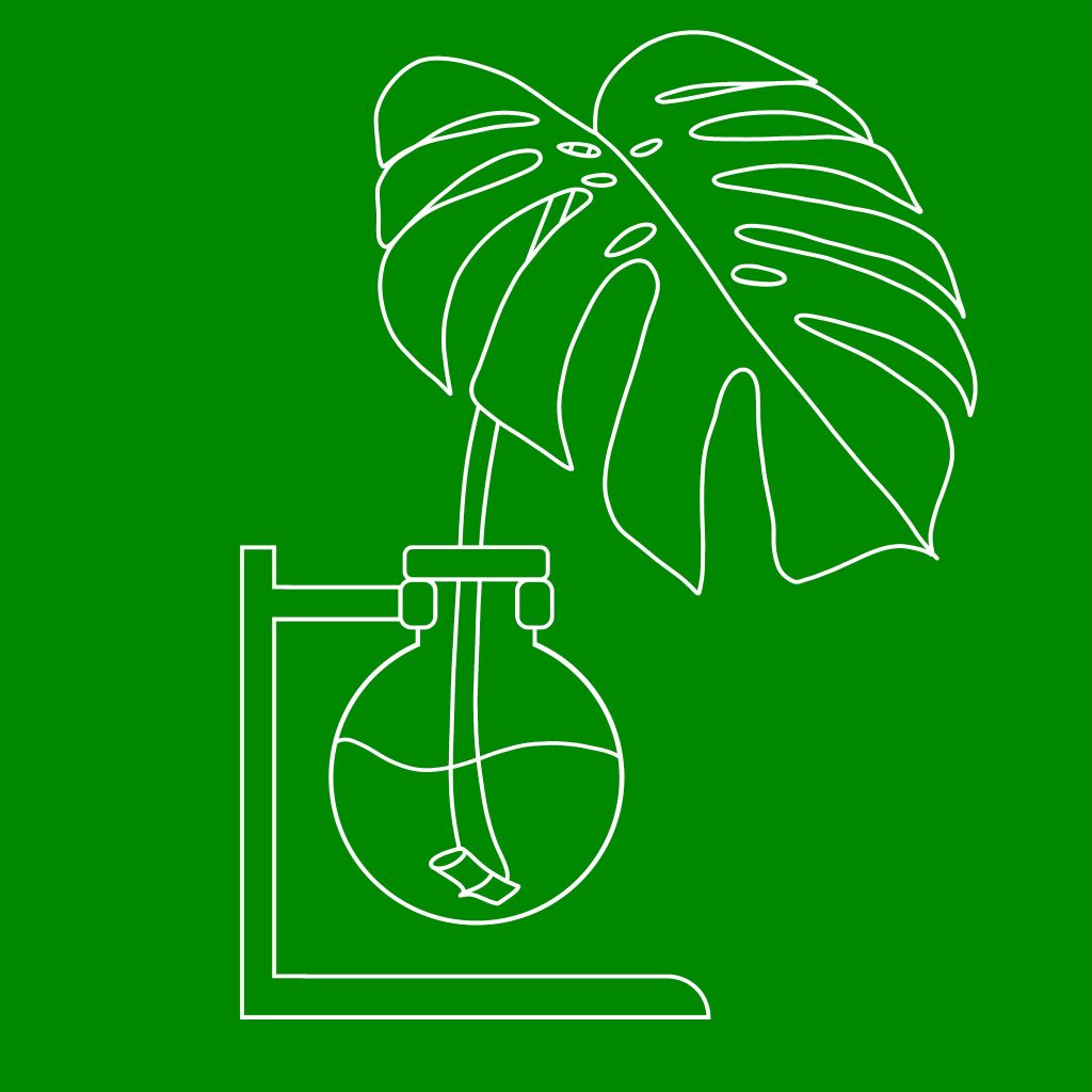 Monstera-Lab